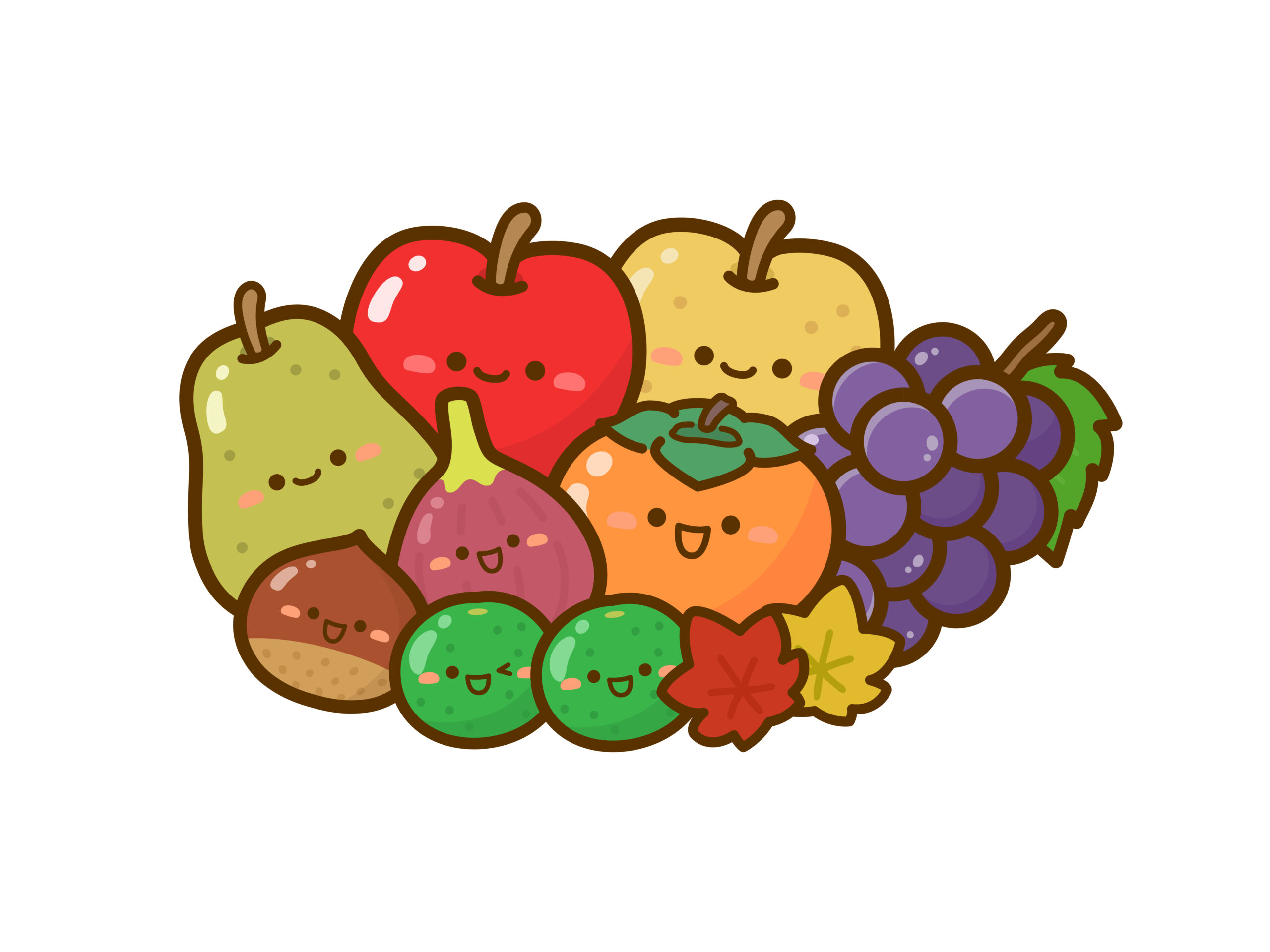 【ビタミンや食物繊維、抗酸化作用】体に良い果物5選！果物の1日の摂取量は？？