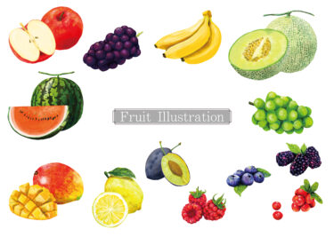 【今が旬！】秋から冬にかけてはどの果物が旬なの？選び方も！【旬の果物を使ったお菓子も】