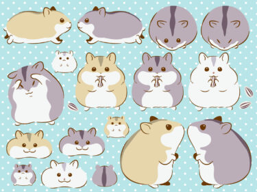 【癒しが欲しい方必見！】飼いやすいペット5選をまとめました！【おすすめ！】