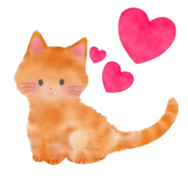 【猫好き必見！】おすすめの猫の種類5選